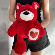 Teddy Bear Andrew Bordeaux